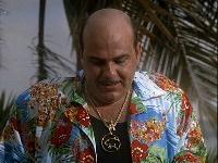 Miami Vice
